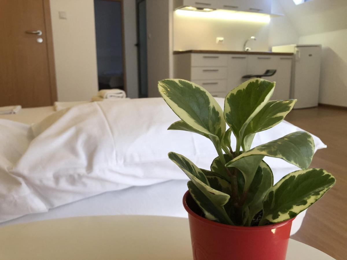 Aparthotel Elly Pomorie Bagian luar foto